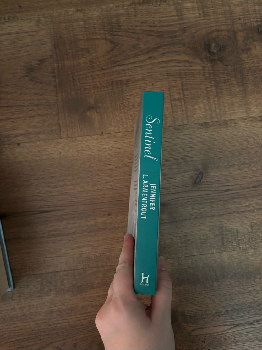 Sentinel Paperback - Picture 2 of 3